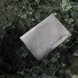 Brand Identity and Website Design for Black Fountain Capital cover image
