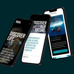 Brand Identity and Website for Ocean Census Initiative cover image