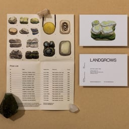 Brand Identity and Packaging for Landgrows Jewelry cover image