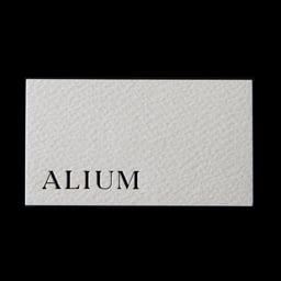 Visual Identity and Art Direction for Alium Art Gallery cover image