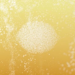 Motion Films for Truly Hard Seltzer cover image