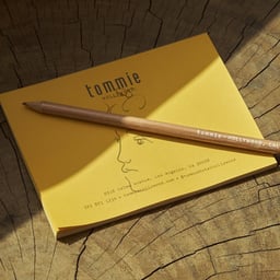 Brand Identity for Tommie Hollywood Hotel cover image