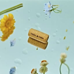 Packaging and Identity for Fossil & Fawn Wines cover image