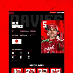 Rebrand and Website Design for Cardiff Devils Ice Hockey Team cover image
