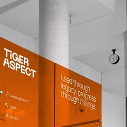 Brand and Website Redesign for Tiger Aspect cover image