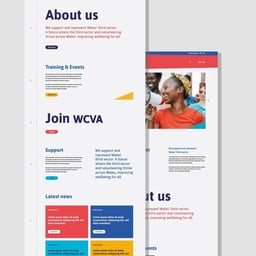 Brand and Website Redesign for WCVA cover image