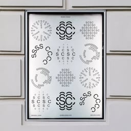 Motion-Led Identity and Website for Studio Costae cover image