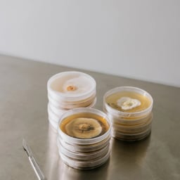 Brand Identity for a Circular Materials Startup cover image