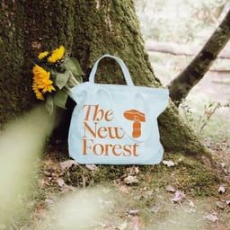 Rebrand for the New Forest cover image