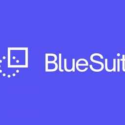 Brand Identity for BlueSuit Real Estate Platform cover image