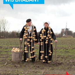 Campaign Identity for 2018 Eindhoven cover image