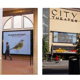 Awareness Campaign for Vogelbescherming Nederland cover image