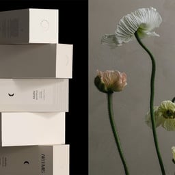 Artemis - Date of Birth design work cover image