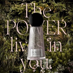 Brand Identity and Packaging for POWER Fragrance by Delta Goodrem cover image
