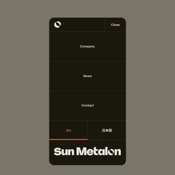 Website Design and Development for Sun Metalon cover image