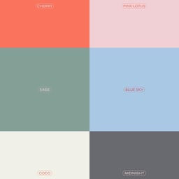Branding for Toms in Town cover image