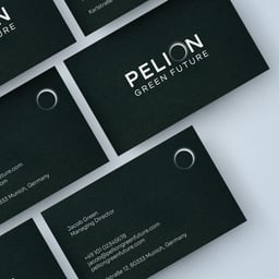 Branding and Website Design for a Sustainable Investment Firm cover image