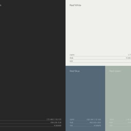 Brand Identity and Website Design for Reef + Partners cover image