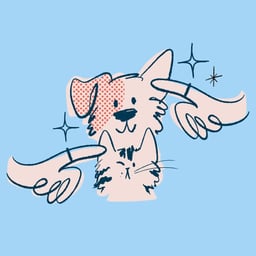 Brand Identity and Packaging for Flydog Pet Grooming Startup cover image