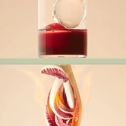 Still Life Photography for H.Theoria Winter Collection cover image