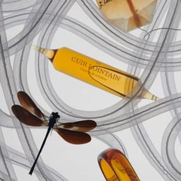 Still Life Photography for Theoria cover image
