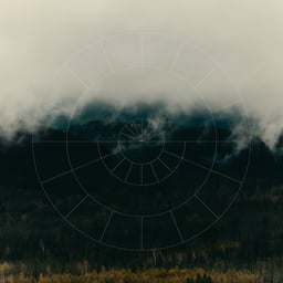 Brand Identity and Web Design for an Experiential Wellness Company cover image