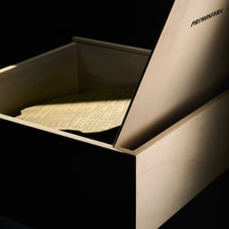 Illustration and Art Direction for Barata Salgueiro Installation cover image