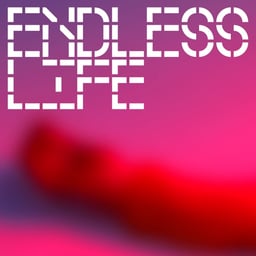 Album Artwork for Ta Toy Boy's Endless Life cover image