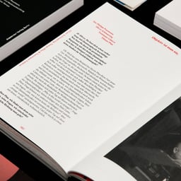 Book Design for Bouvard & Pecuchet 3000 cover image