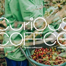 Corporate Design and Animation for Curious Coffee cover image