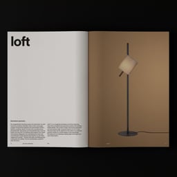Brand Identity for German Lighting Brand Raasch cover image