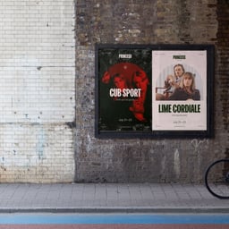 Brand Identity and Website for the Princess Theatre cover image