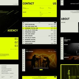 Brand and Website Design for Roster Agency cover image