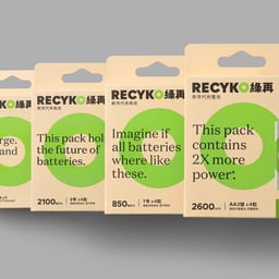 Brand Identity and Packaging Redesign for Recyko cover image