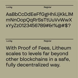 Brand Identity for a Layer-1 Blockchain Platform cover image