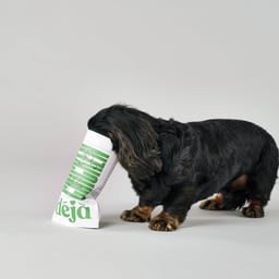 Brand and Packaging Design for a Sustainable Pet Food Company cover image