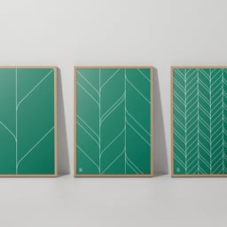Brand Identity for the Botanic Retirement Community cover image
