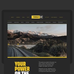 Naming and Brand Identity for Terra Cat cover image
