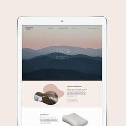 Brand Identity and Packaging for Hyoumankind Wellness Pillow cover image