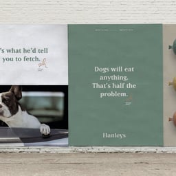 Brand Identity and Packaging for Hanley's Natural Pet Food cover image