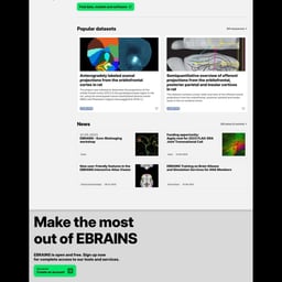 Website Design for EBRAINS Open Science Platform cover image