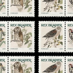 Identity Design for the Rex Brasher Association cover image