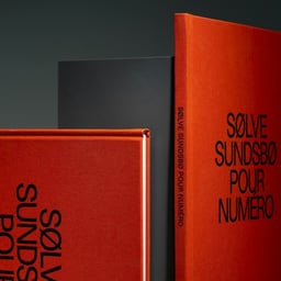 Architectural Publication Design for Appendix +5 cover image