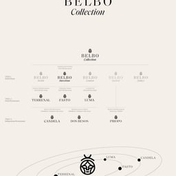 Brand Identity for Belbo Restaurant Collection cover image