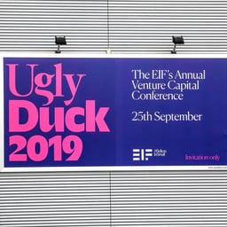 Brand Identity for Ugly Duck Conference cover image