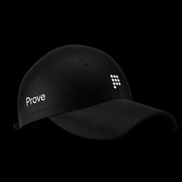Brand Identity for Prove cover image