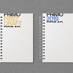 Brand Identity for Primo Content Production Company cover image