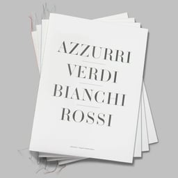 Print Design for Stephen Ambrose Photobook cover image