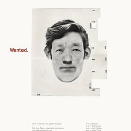 Print Advertisement for TiRA Web Developer Recruitment cover image