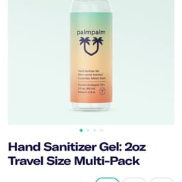Branding and Web Design for PalmPalm Sanitization Line cover image